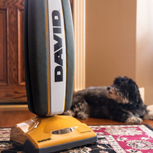 Load image into Gallery viewer, David Everywhere Cordless Upright Vacuum
